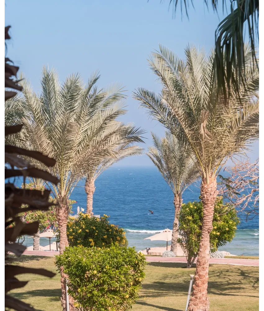 Serenity Alpha Beach (Ex Serenity Makadi Beach) 5*-50