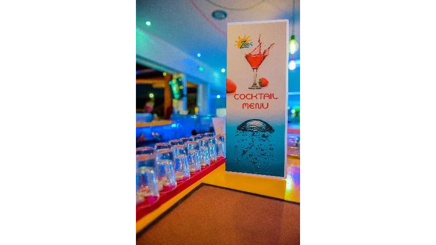 Zoes Hotel 3*-110