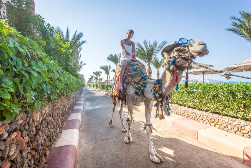 Sunny Days El Palacio Resort & Spa 4*-93