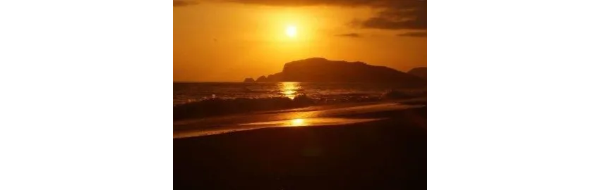 Sunshine Alanya Hotel 5*-28