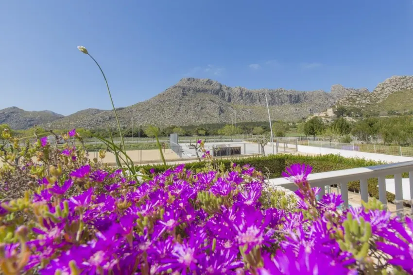 Massol Apartments -51