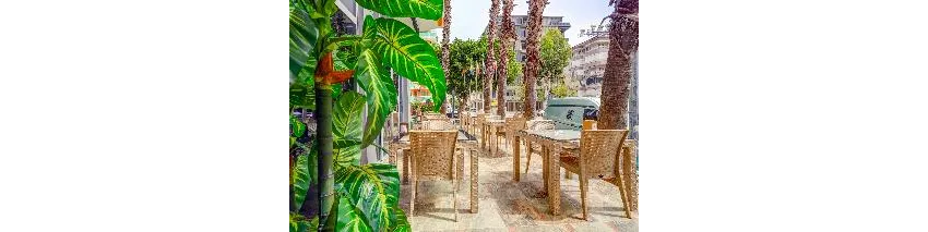 Kleopatra Arsi Hotel 3*-15