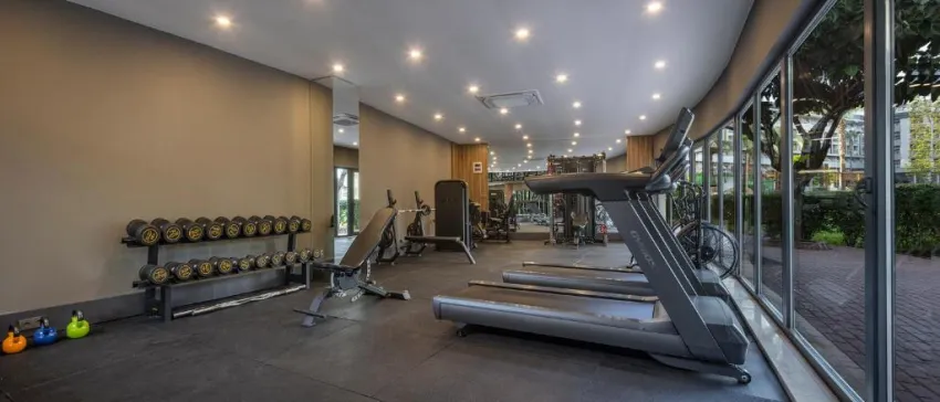 KAIA CORACESIUM  4*-38