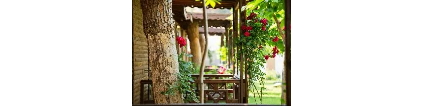 Flora Garden Beach (Adults Only 16+) 5*-218
