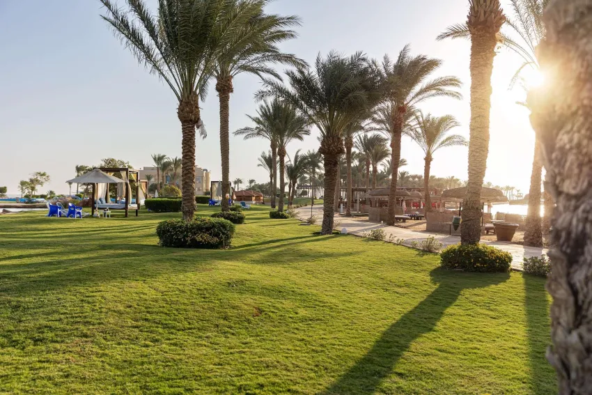 Palm Royale Soma Bay Resort 5*-414