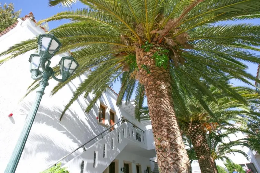 Flamingos Hotel 3*-30