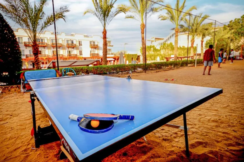 FALCON NAAMA STAR  3*-21