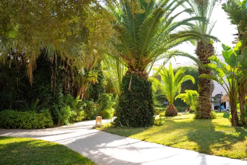 EDEN YASMINE RESORT & SPA  4*-16