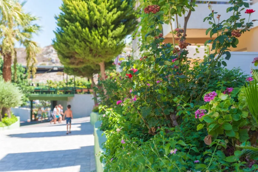 Aqua Sun Village 4*-25