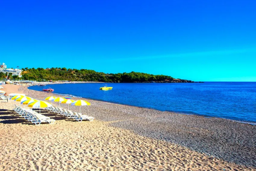 Gardenia Beach Hotel 4*-19