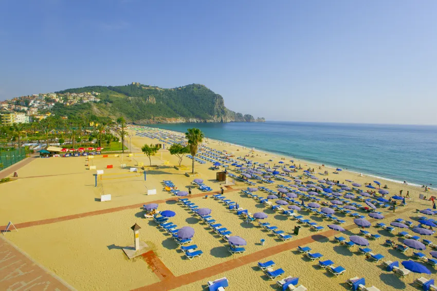 Gardenia Hotel 4*-25