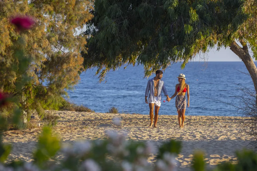 Melissi Beach Hote 4*-70