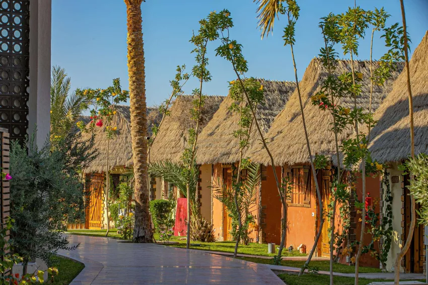 Panorama Bungalows Resort El Gouna 4*-11