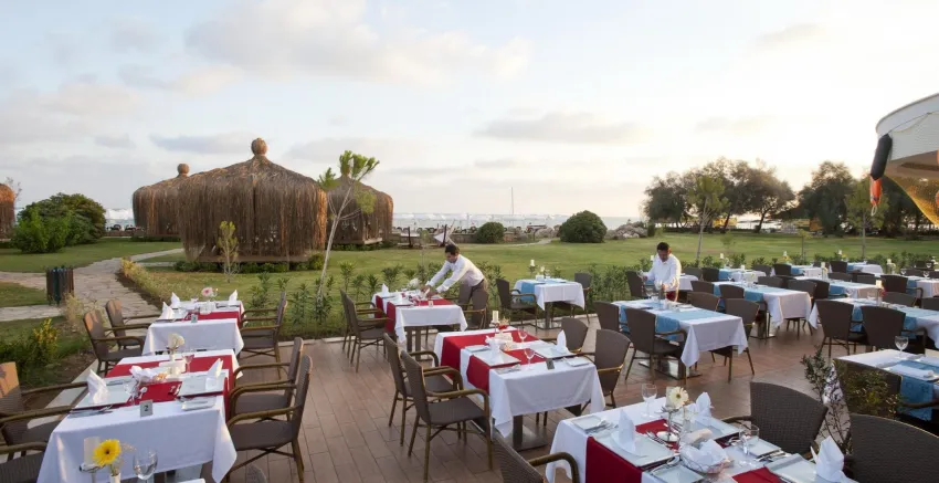 Crystal Tat Beach Pearl Collection 5*-8