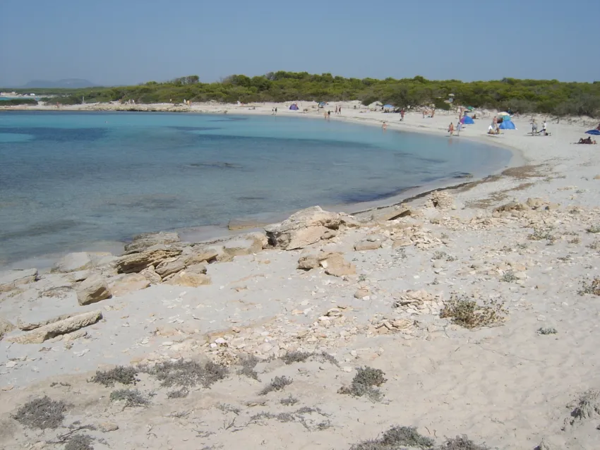 Isla de Cabrera Aparthotel 4*-98