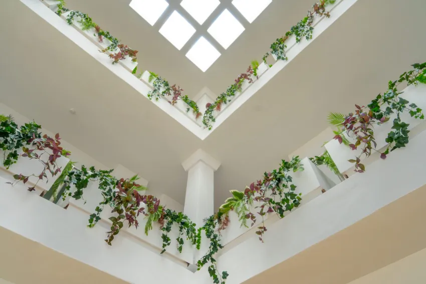 Calimera Fido Gardens (ex Cala D Or Gardens) 4*-7