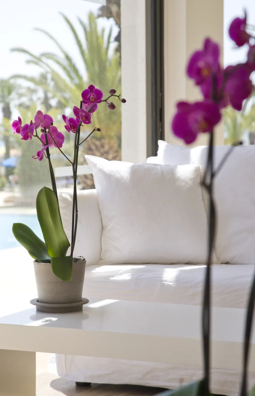 Sandy Beach Hotel 4*-11