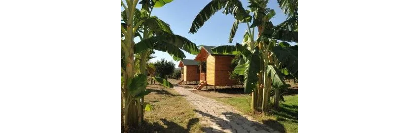 Elamir Resort Hotel 4*-4