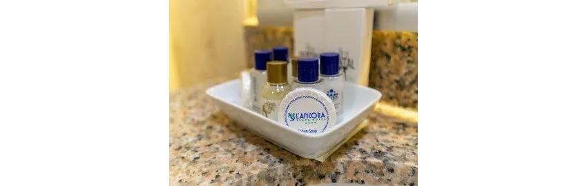 Lancora Beach Hotel 4*-2
