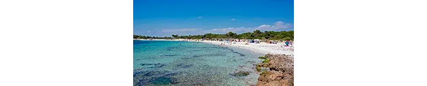Isla de Cabrera Aparthotel 4*-69