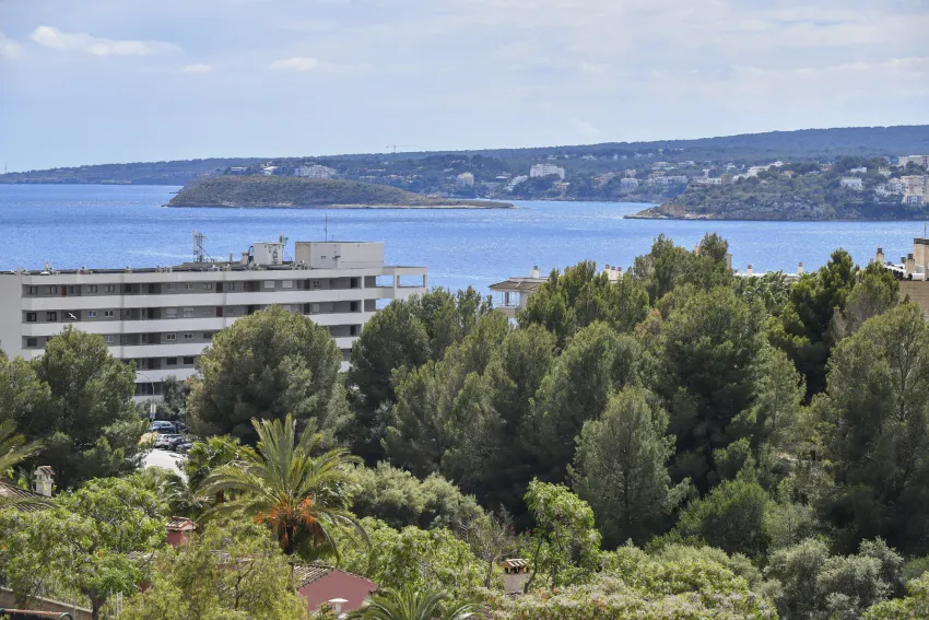 Salles Hotel Marina Portals 4*-3