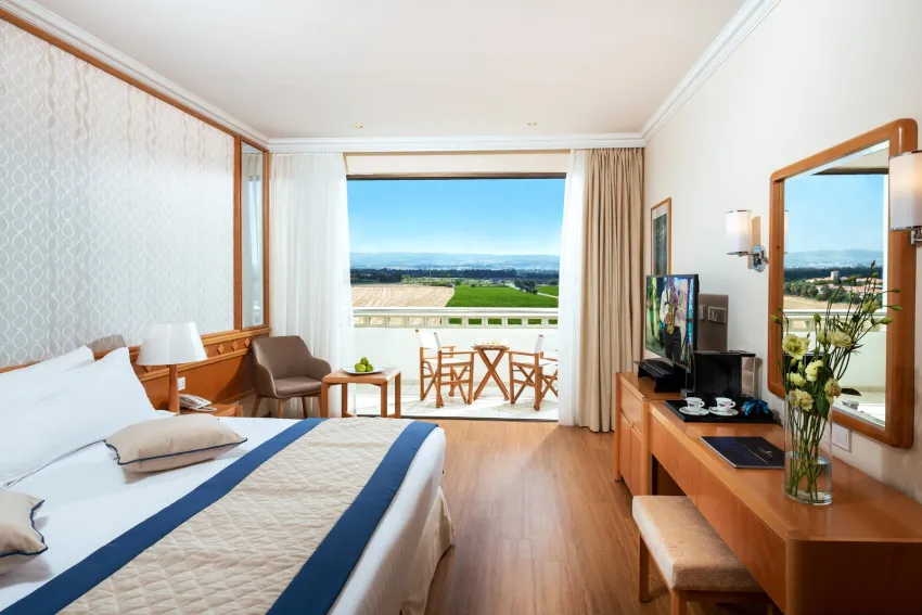 Constantinou Bros Athena Beach Hotel 4*-14