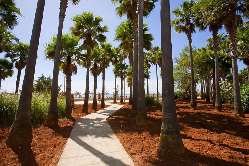 Club Mediterraneo Hipotels 4*-8