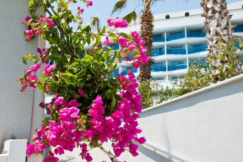 Selene Beach & Spa Hotel 5*-87