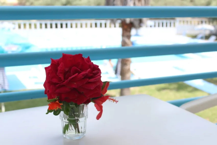 Tivoli Hotel and Apartments 3*-7