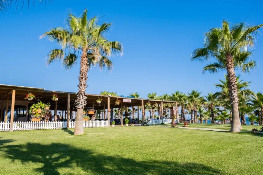 SURAL RESORT  5*-21