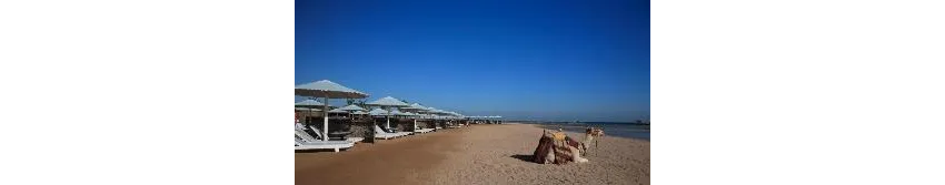 Pharaoh Azur Resort 5*-79