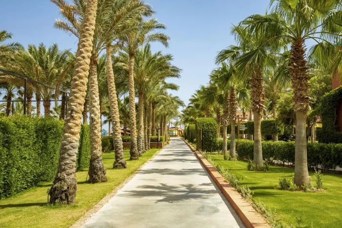 TUI Magic Life Redsina Sharm El Sheikh 5* - Nabq bay - sharm el sheikh - Egipt