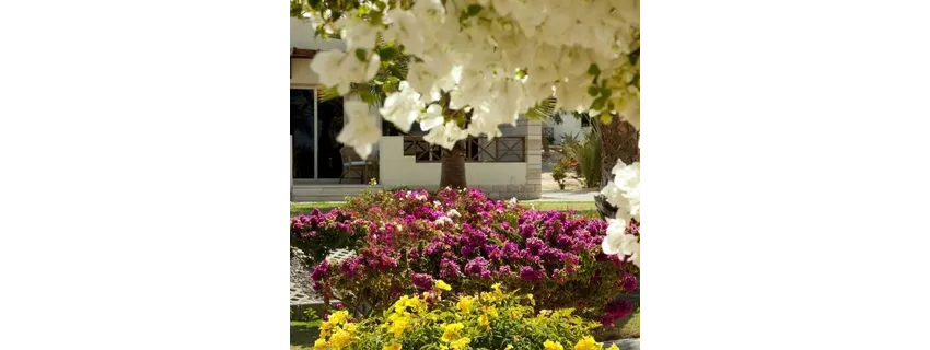 Coral Beach Resort Hotel 4*-49