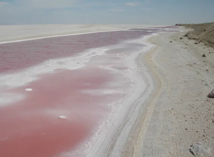 CIRCUIT DISCOVER TUNISIA (1N MARHABA CLUB+2N SAHARA+4N SENTIDO BELLVUE PARK)  4*-5* CIRCUIT-18