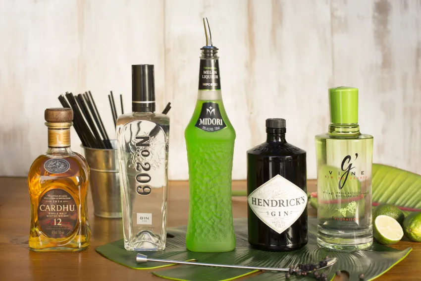 Las Gaviotas Suites Hotel 4*-40