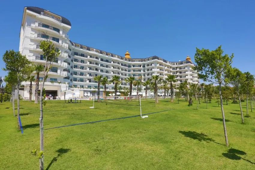 ASTERIA BLOOM SIDE (EX. SELECTUM FOR TWO SIDE)  5*-3