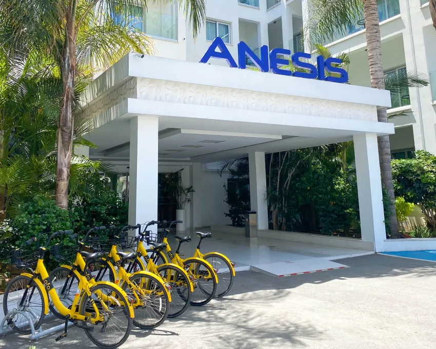Anesis Hotel 3*-4