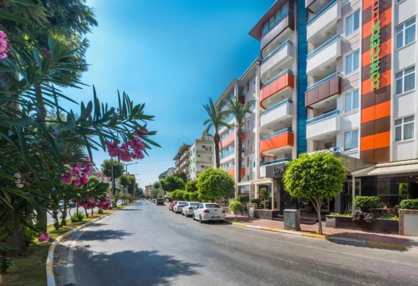 LONICERA CITY KLEOPATRA  3*-5