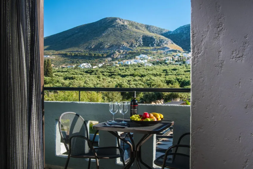Indigo Suites Collection 4*-16