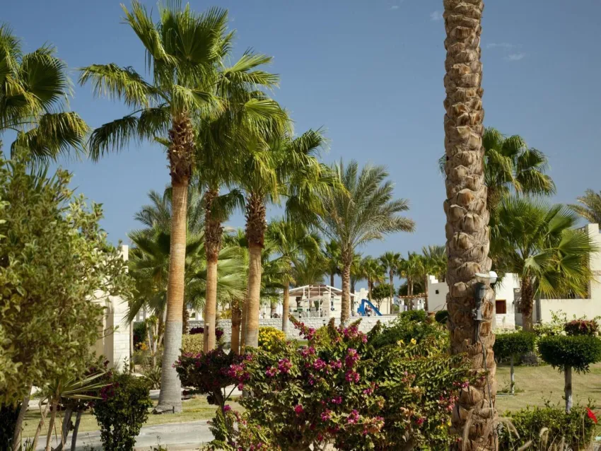 Coral Beach Resort Hotel 4*-4