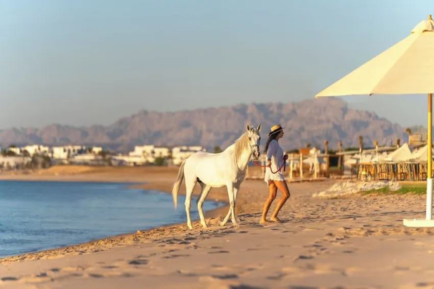 Rixos Premium Magawish Bay View 5*-29