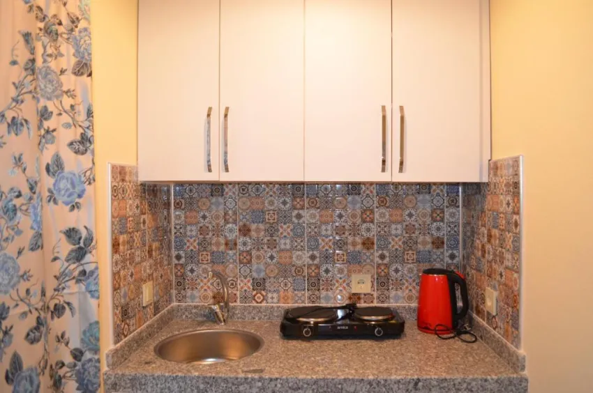 PARK AVRUPA HOTEL  3*-9