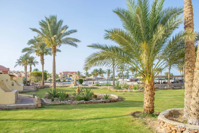 Protels Crystal Beach Resort 4*-28