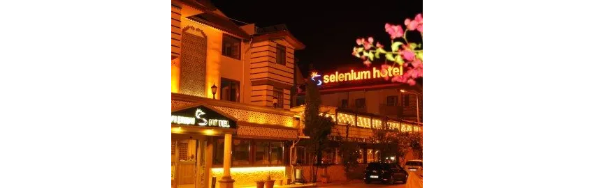 Selenium Hotel 3*-18