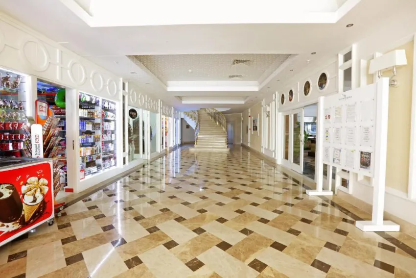 ASTERIA BLOOM SIDE (EX: SELECTUM FOR TWO SIDE)  5*-20