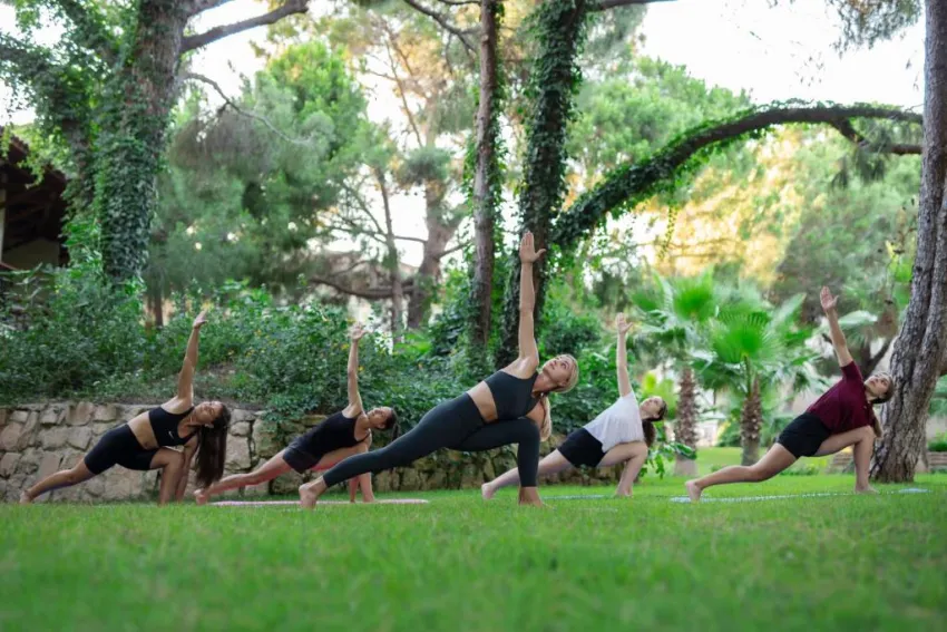 PAPILLON BELVIL  5*-10