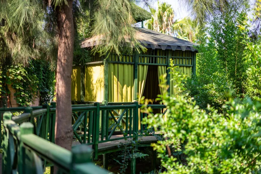 Vita Silva (Ex. Amelia Beach) 5*-20