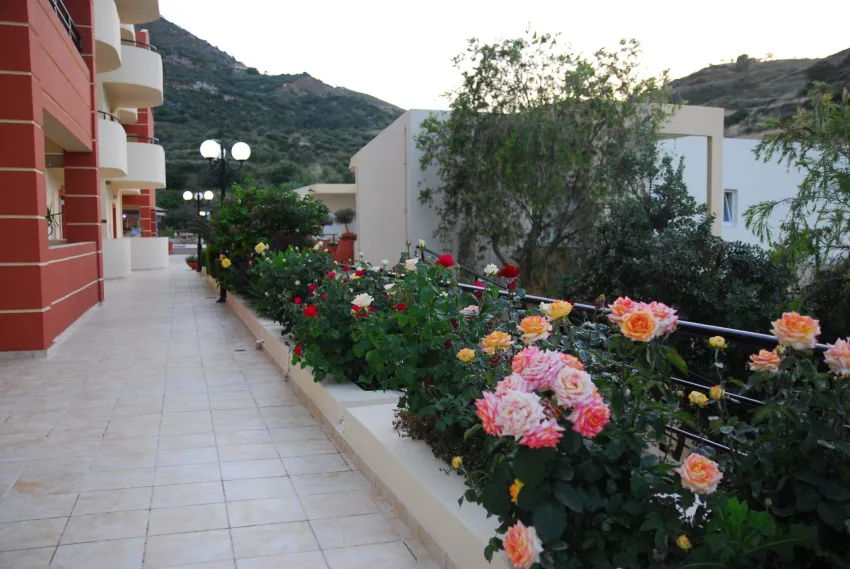 Elpis Studios and Apts 2*-7