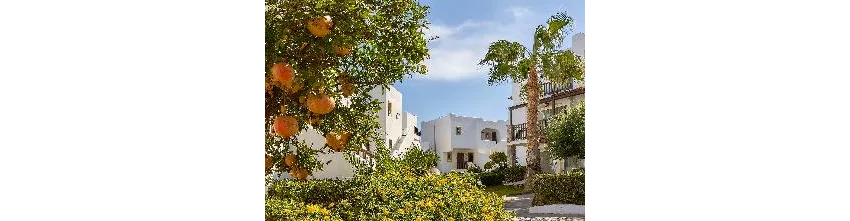Alexander Beach Hotel And Village Resort 5*-69