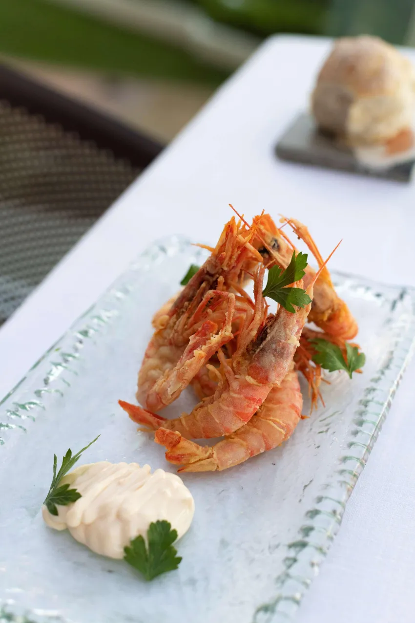 Hotel de Mar Gran Melia 5*-649